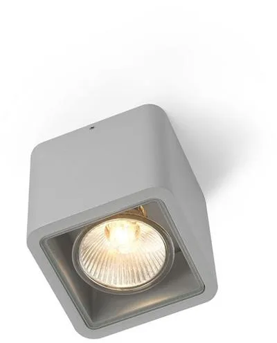 Trizo 21 Code 1 Aussenlampe Eloxiert